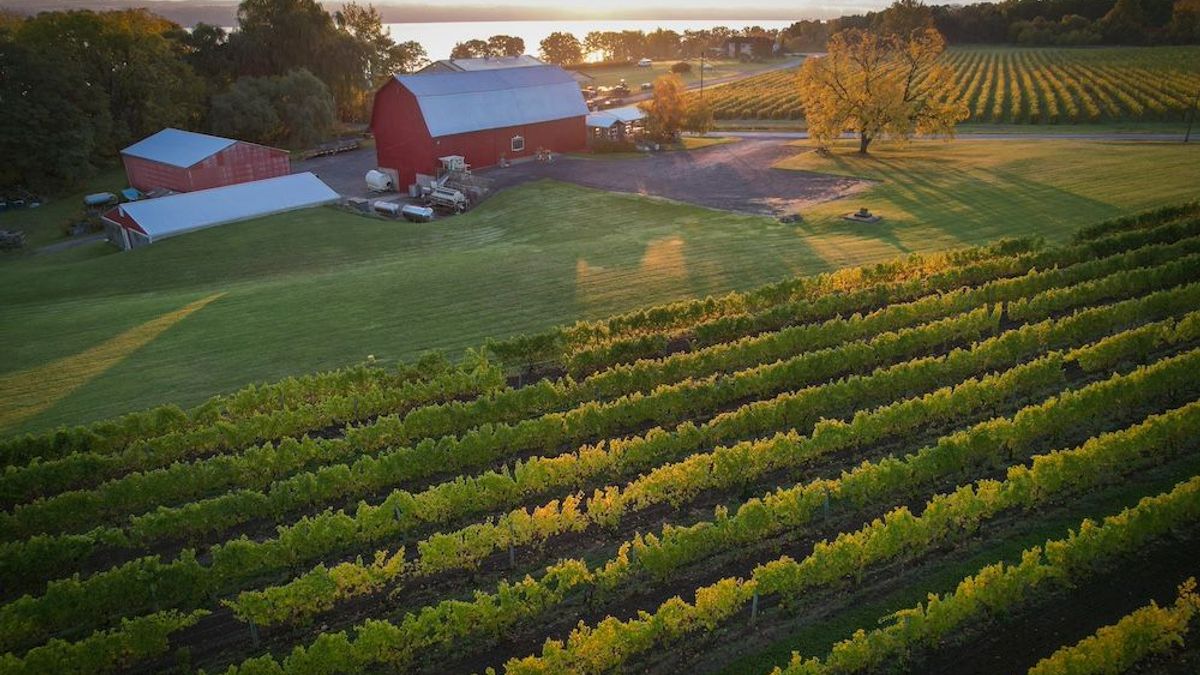 Cayuga Ridge Estate Winery- Turn Key Wine Making Facility And Event ...