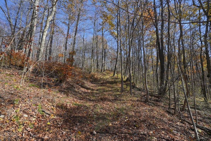 Somerset, 10.91, Tinkey-18