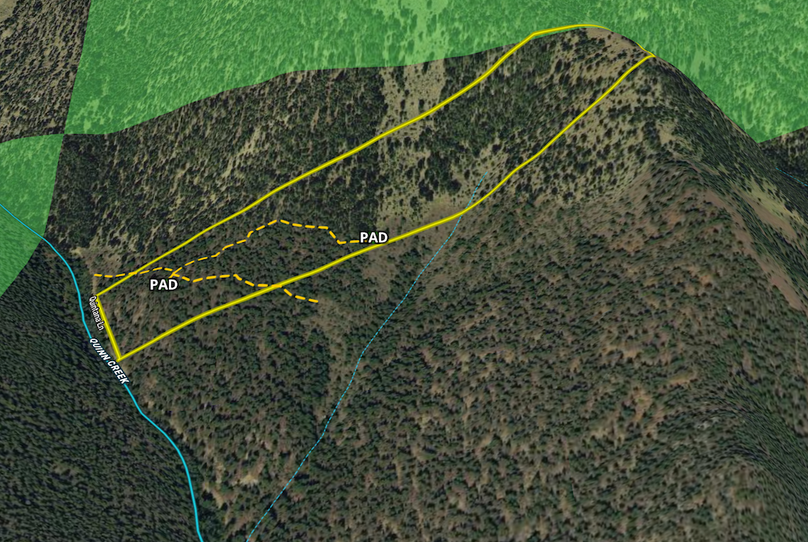 Screen Shot 2024-07-15 at 9.58.48 AM