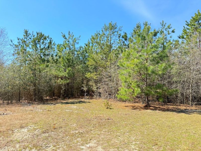 39E351FC-DC62-4C68-AA8F-22A312F7DAA2