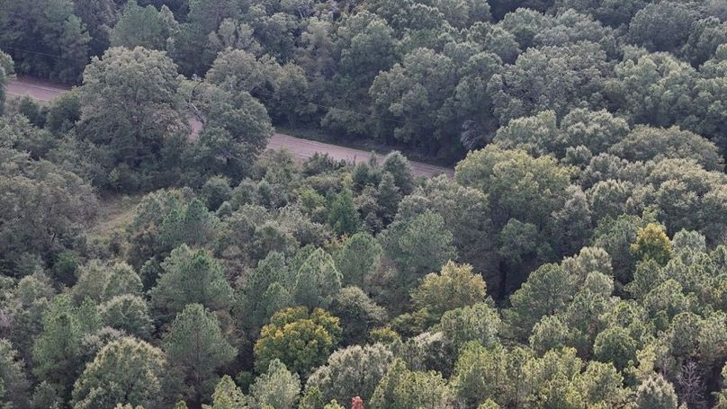 DJI_20250930052954_0767_D