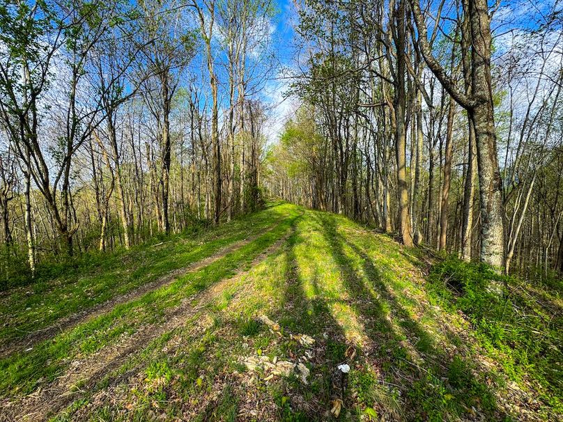 Calhoun, WV 132.84 AC Szegi 2-128