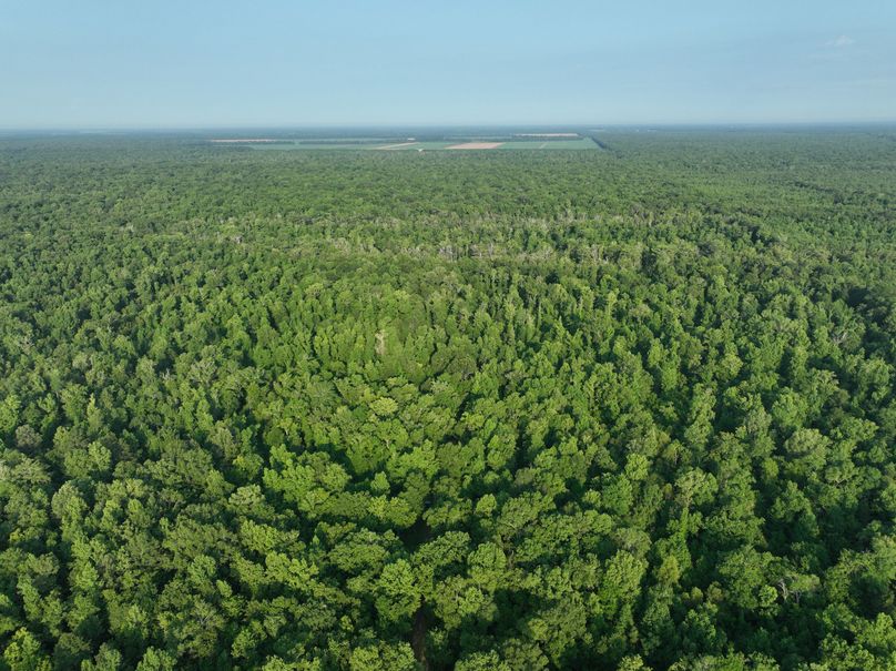 dji_fly_20230630_080630_188_1688137797142_photo