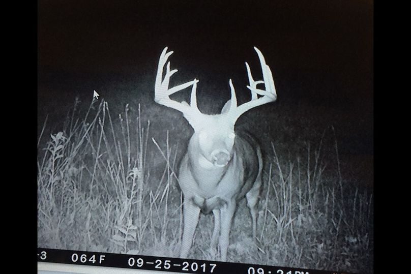 36