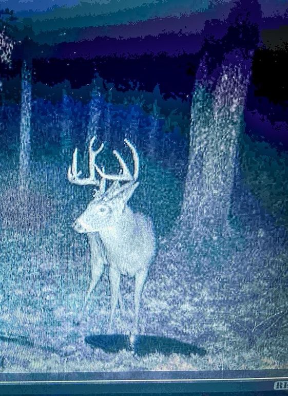 Adams 263.17, Hale -83