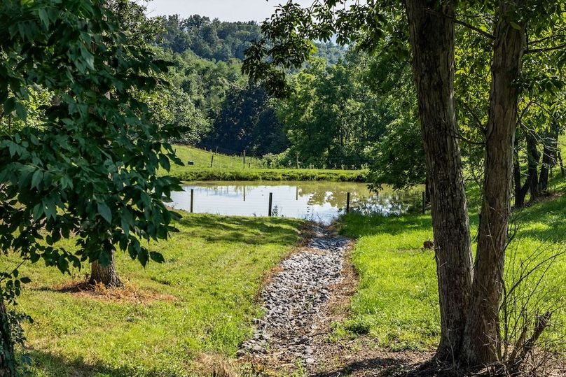 30-web-or-mls-IMG-28