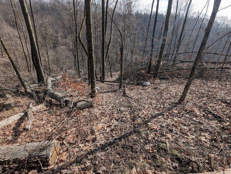 PXL_20240223_162454406