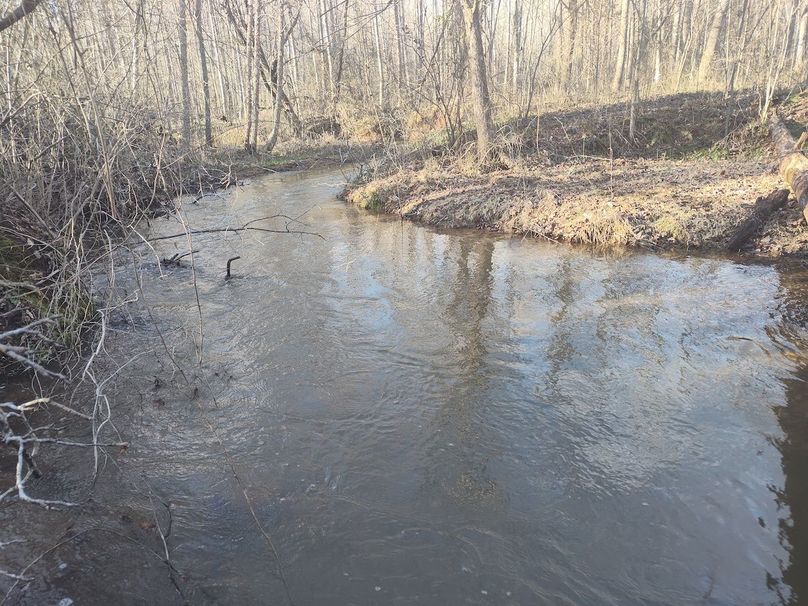 IMG_20240302_164646352