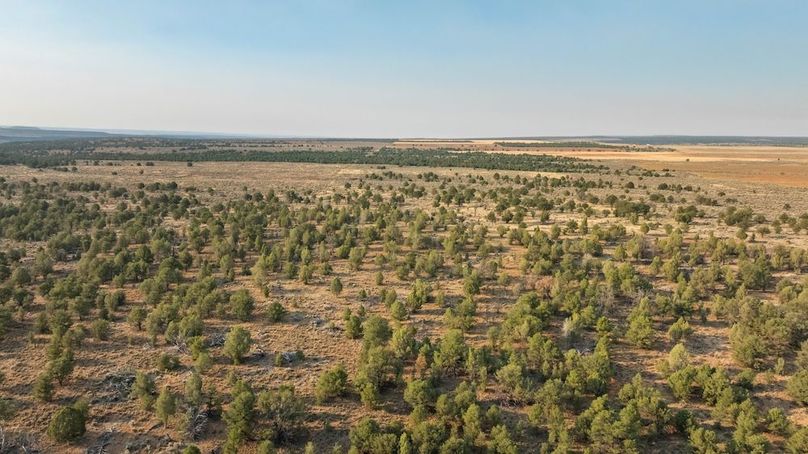 DJI_0567_1
