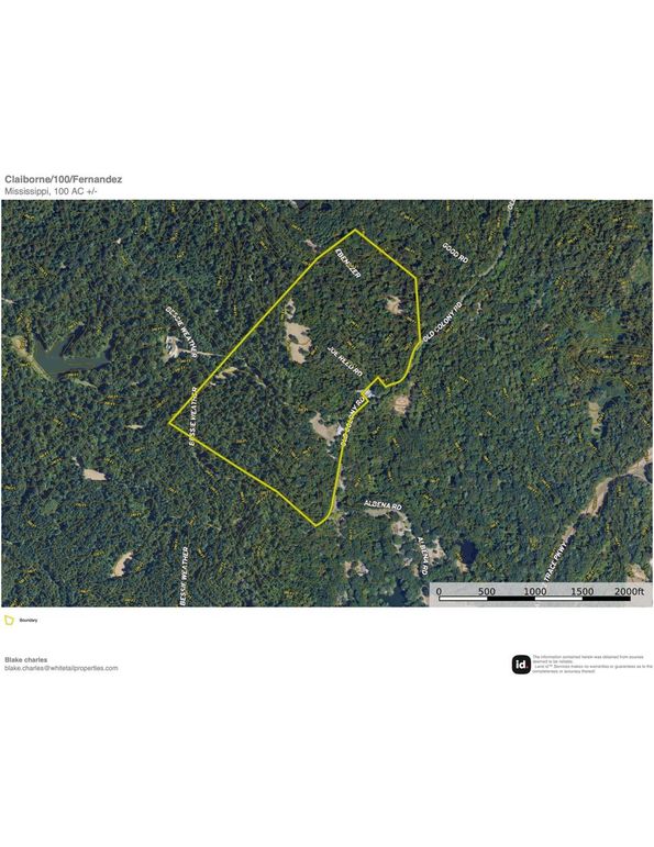 Claiborne_100_fernandez_contour