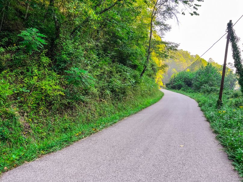 Calhoun, WV 101.8 AC Holly -37