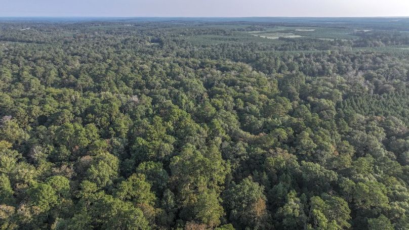 DJI_20250918082331_0145_D