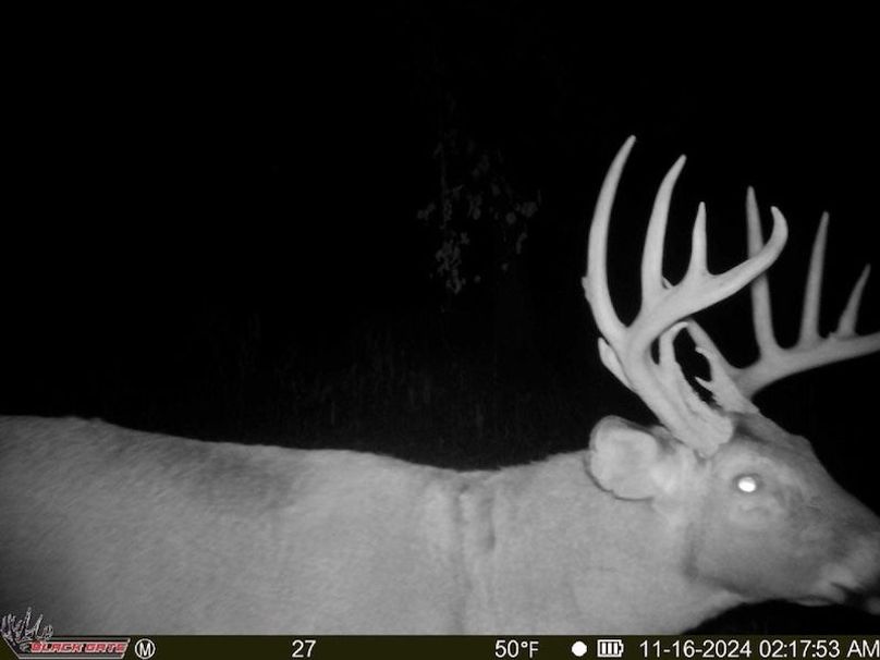 20241116_091814_A581EA (1)