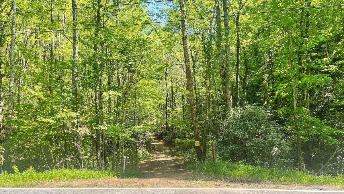 Private Mountain Getaway With Trails, Timber, Creeks And Homesites
