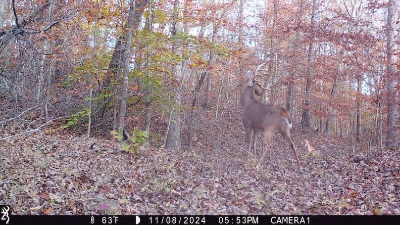 trail cam33