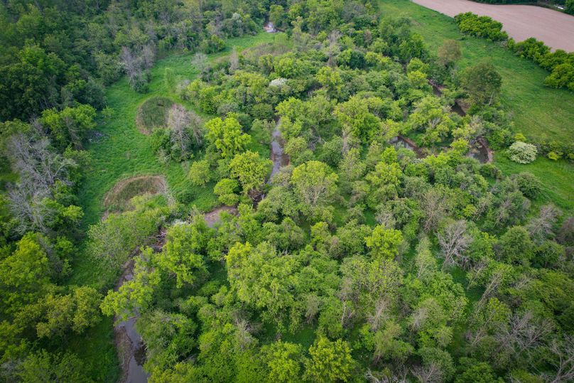 Ontatio_73.3_Green Photo 32