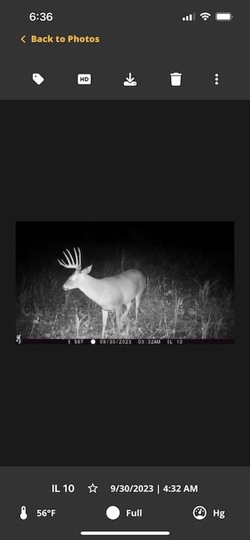 322AD966-53A5-4652-9160-BD022234C724_1_105_c