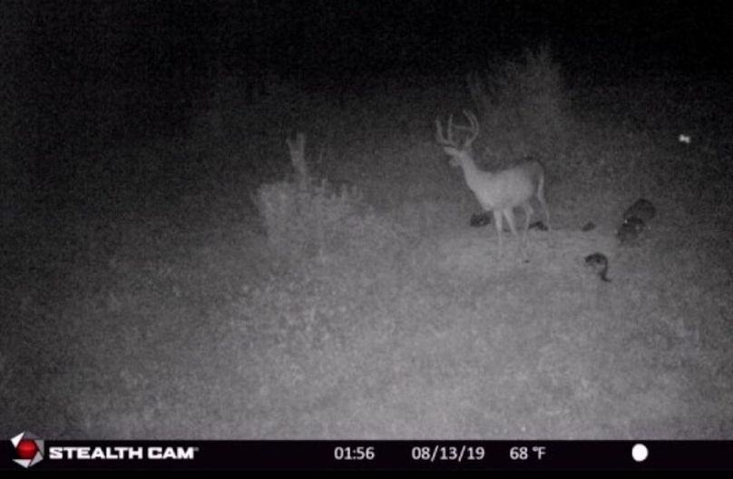 06 some really good tine length