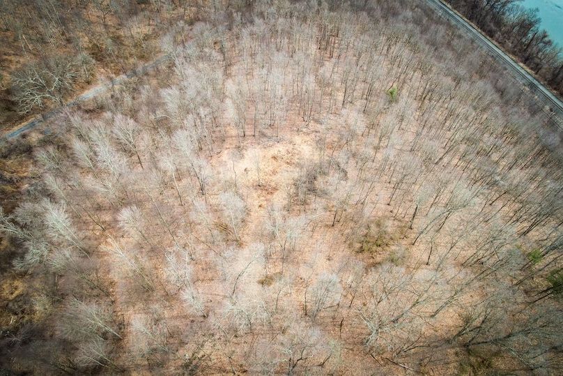 dji_fly_20260302_104224_537_1772466952525_photo