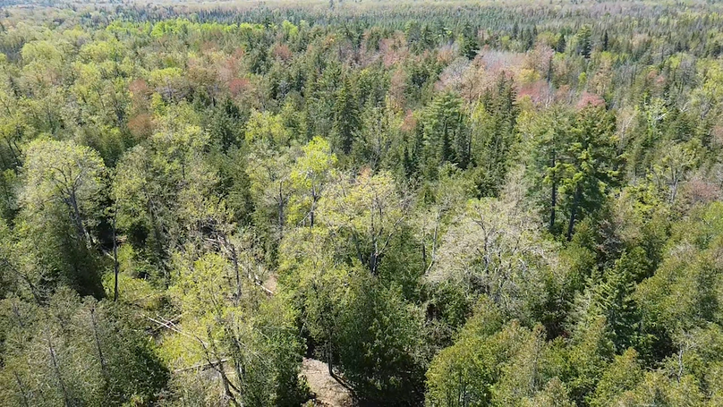 2024-05-15-13-55-27-298