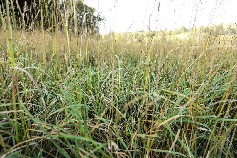 HARRISON CO. IA 24.85_63