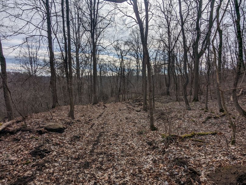 PXL_20230213_170049613