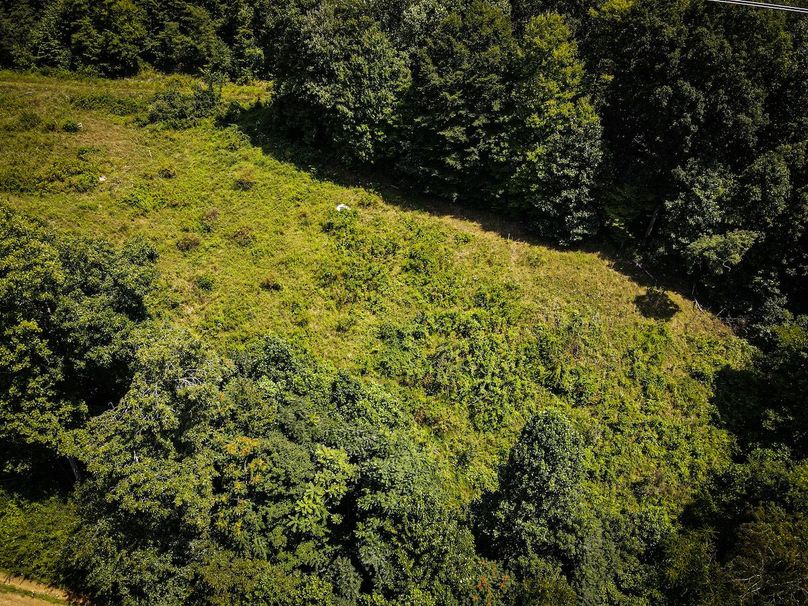 dji_fly_20230808_142152_958_1691518936993_photo