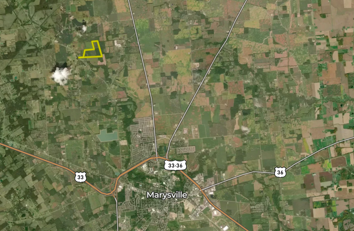 Screen Shot 2025-08-17 at 8.30.45 PM