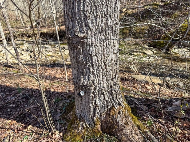 Fleming Petry 120-066