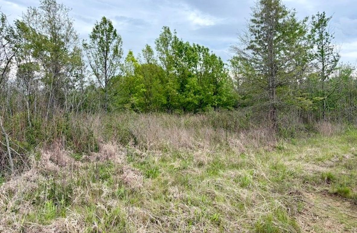 01D348A7-CA7C-43A7-B341-00308BAC7DBD_1_105_c