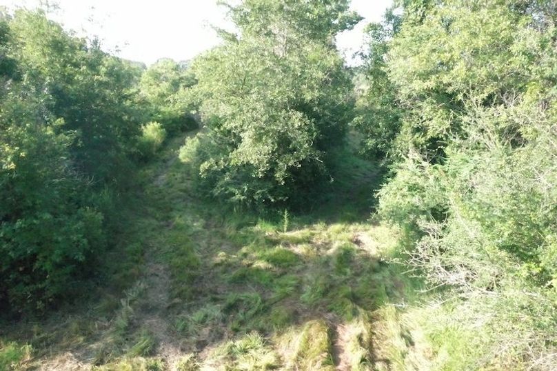 DJI_0625