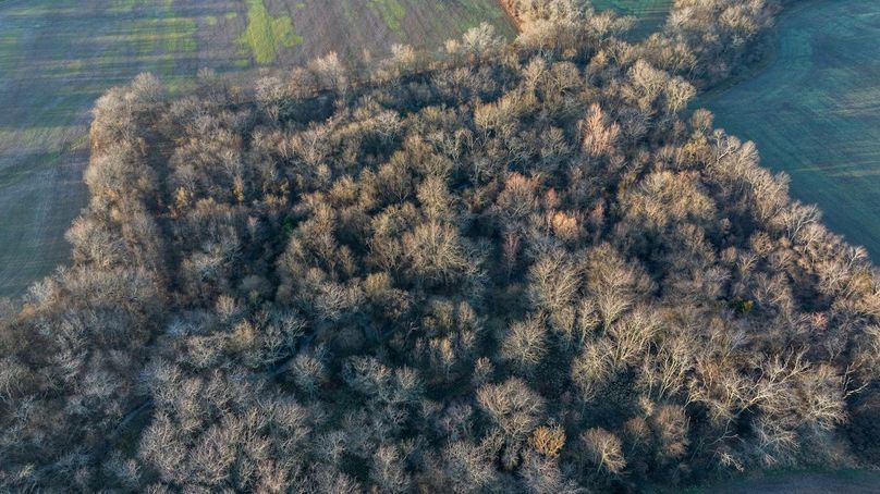 DJI_20260309075836_0011_D