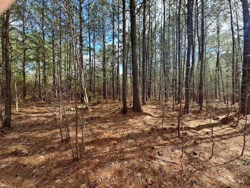 Romancoke_QAnnes_PIC_016