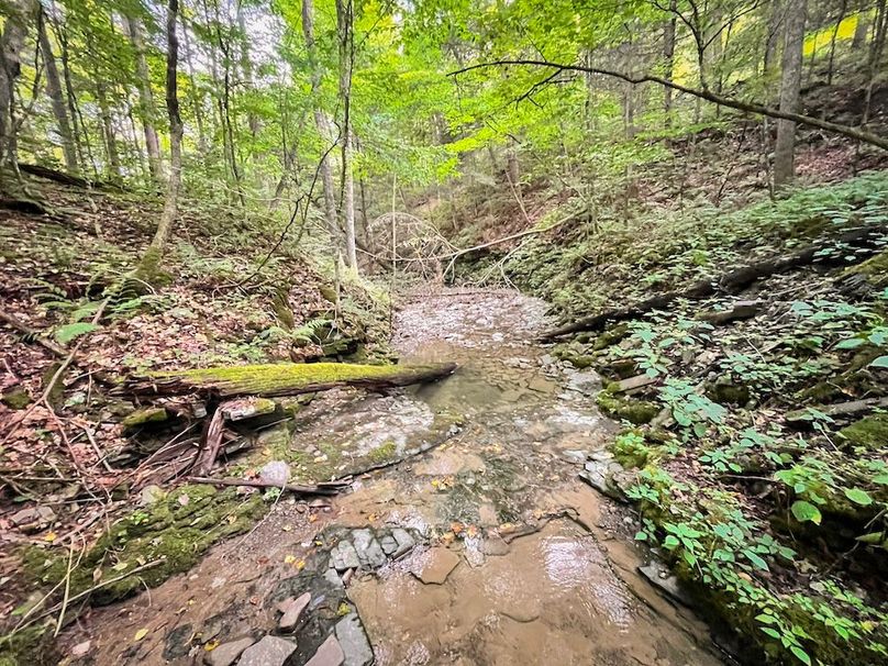 Tioga_59.597_Barnes_Photos_22
