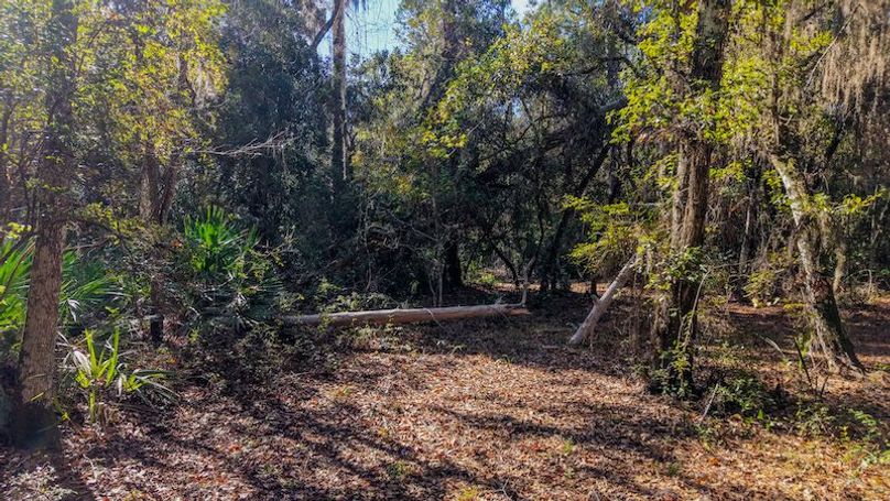 Copy of DJI_20251204000839_0728_D