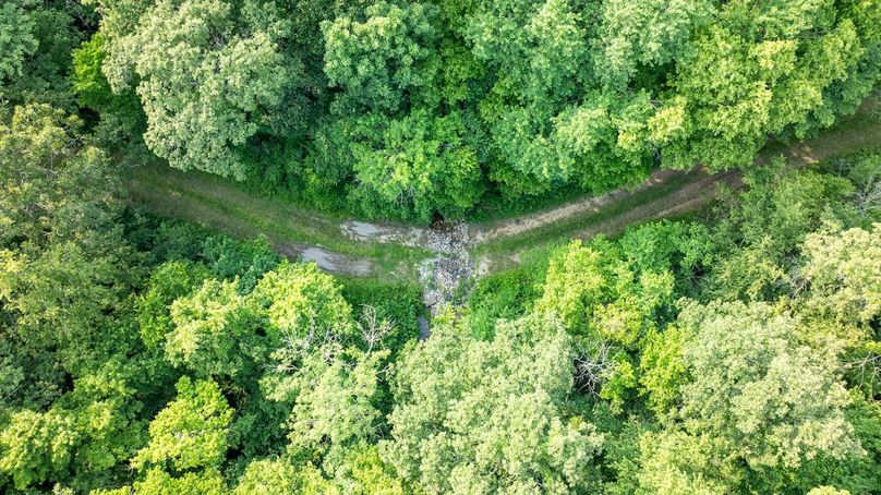 DJI_20250610045557_0013_D