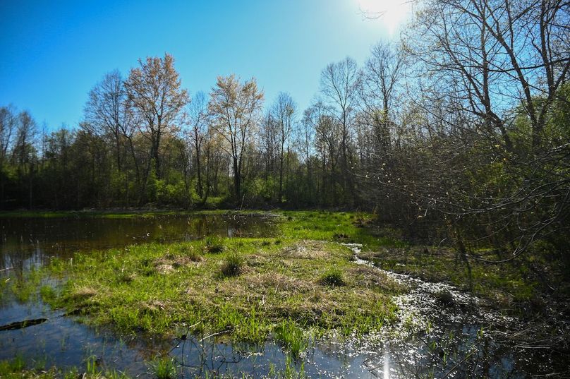 vandalia 450 (2)-2486