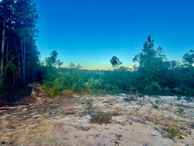 E51AE168-AFB1-4E09-A6E8-4A6E8D01F387_1_105_c