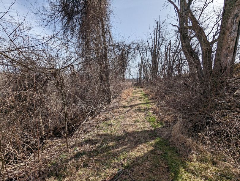 PXL_20230301_161554357