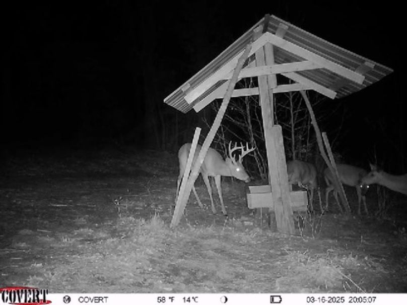 Trail Cam 2