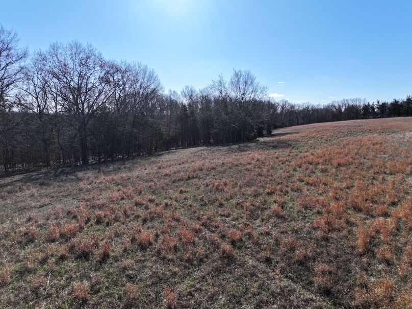 DJI_20260317093637_0985_D