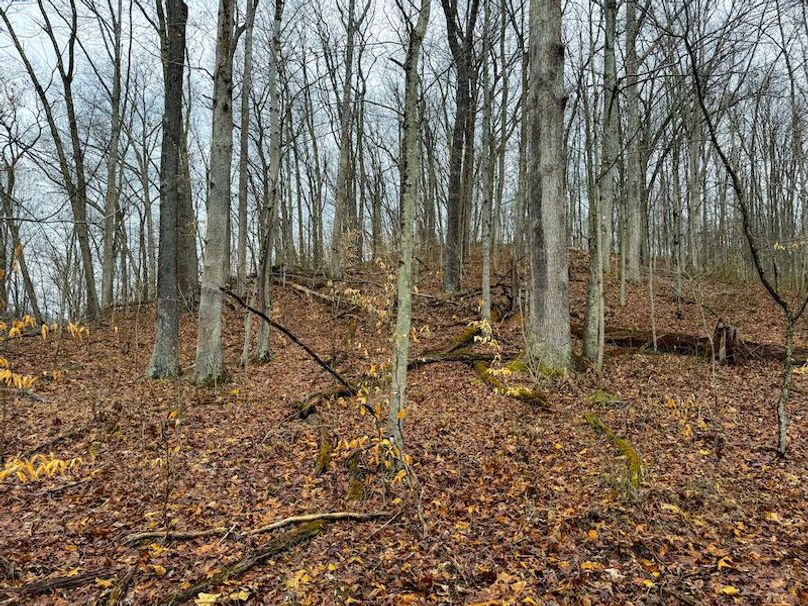 Ritchie, WV 64 AC Hall New Pics-21