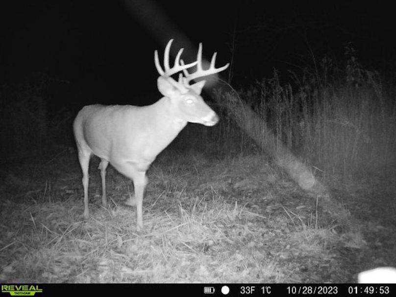 860322065128164-1-3-10282023014952-V-W1004553