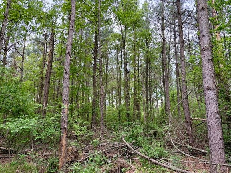 B0BDF9D2-E79B-4E04-AB8F-8A0AAA86C7E7_1_105_c