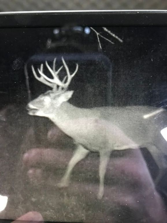 69D361C9-4E19-43C5-B78D-9E02065D0AF4_1_105_c