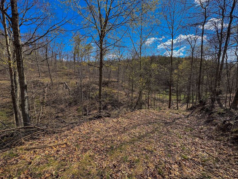 Wirt, WV 156.941 AC Full-28