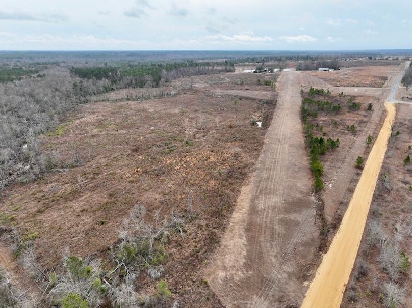 dji_fly_20260211_113950_293_1770828250666_photo