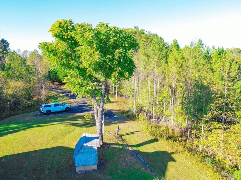 dji_fly_20241010_164100_900_1728592878269_photo