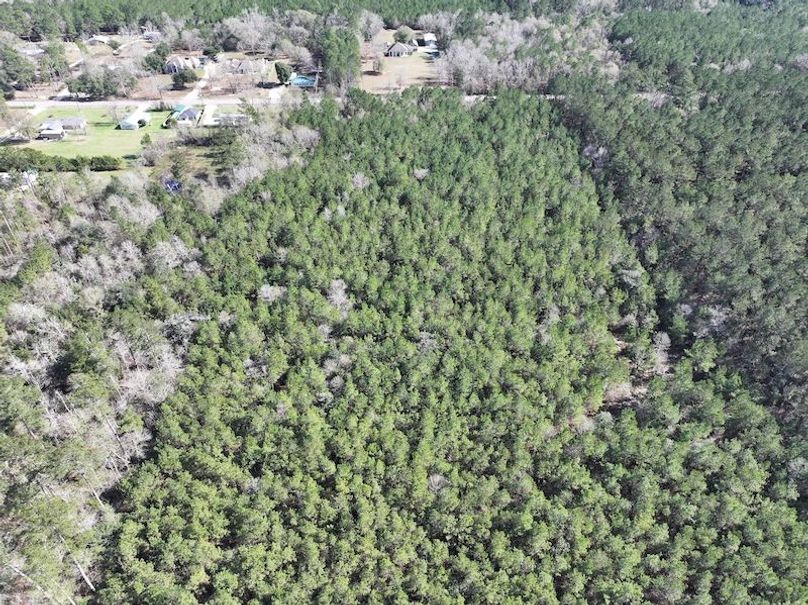 dji_fly_20260112_110110_0806_1768323794420_photo