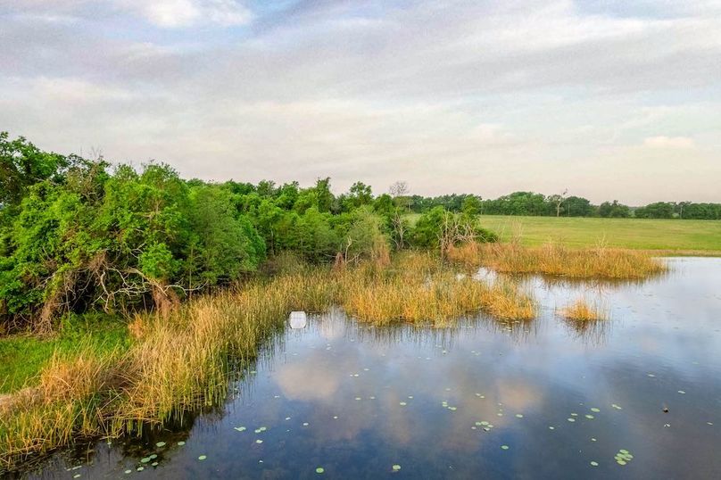 Lamar County- 89.8 acres-47